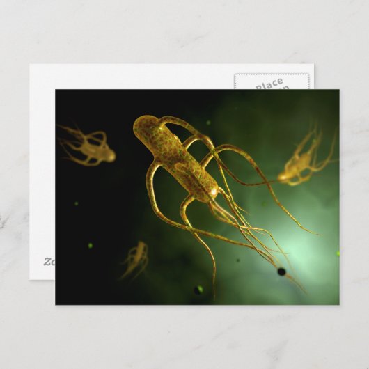 Conceptual Image of Salmonella Typhi 2 Postkarte (Vorne/Hinten)