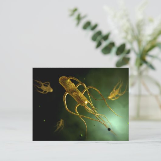 Conceptual Image of Salmonella Typhi 2 Postkarte (Stehend Vorderseite)