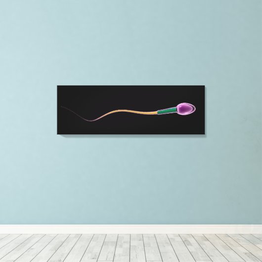 Conceptual Image of Sperm Anatomy Leinwanddruck (Insitu (Holzboden))