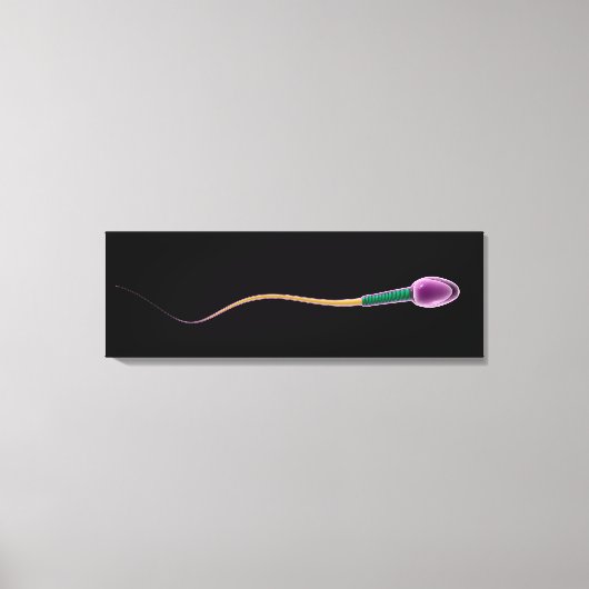 Conceptual Image of Sperm Anatomy Leinwanddruck (Vorderseite)