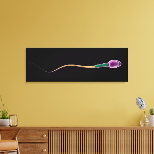 Conceptual Image of Sperm Anatomy Leinwanddruck (Insitu (Wohnzimmer))