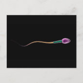 Conceptual Image of Sperm Anatomy Postkarte (Vorderseite)