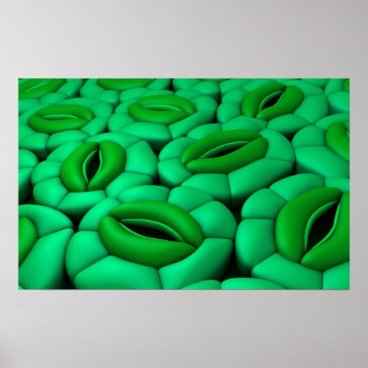 Conceptual Image of Stomata 1 Poster (Vorne)