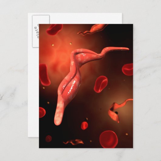 Conceptual Image of Trypanosoma 1 Postkarte (Vorne/Hinten)