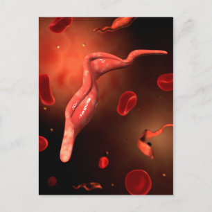 Conceptual Image of Trypanosoma 1 Postkarte