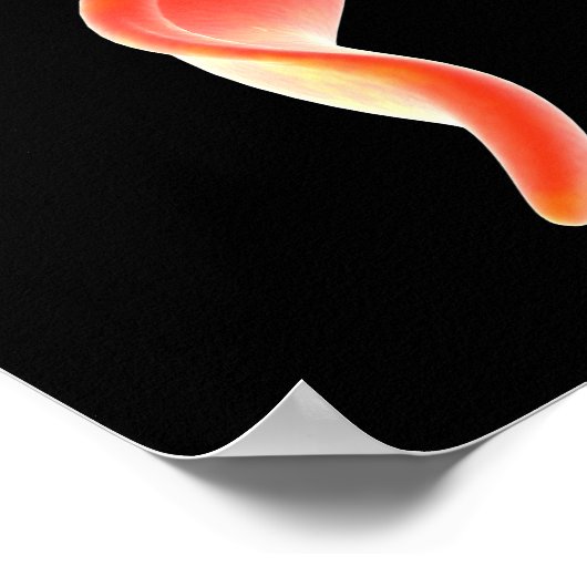 Conceptual Image of Trypanosoma 2 Poster (Ecke)