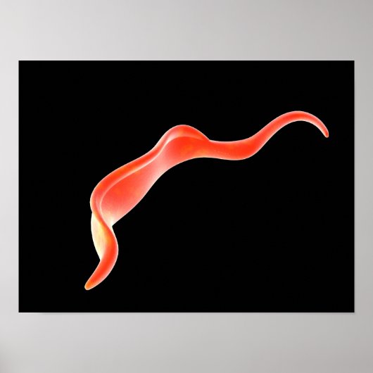 Conceptual Image of Trypanosoma 2 Poster (Vorne)