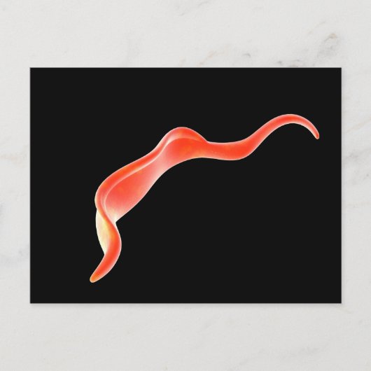 Conceptual Image of Trypanosoma 2 Postkarte (Vorderseite)