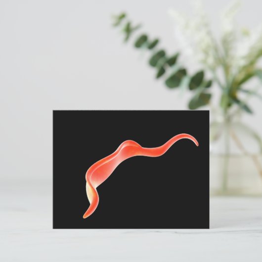 Conceptual Image of Trypanosoma 2 Postkarte (Stehend Vorderseite)