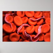 Conceptual Image of Trypanosoma 3 Poster (Vorne)