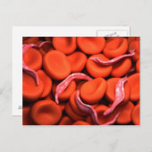 Conceptual Image of Trypanosoma 3 Postkarte (Vorne/Hinten)