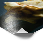 Conch 3335 Foto (Ecke)