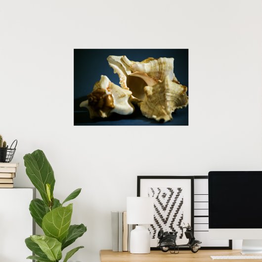 Conch 3335 Poster (Heimbüro)