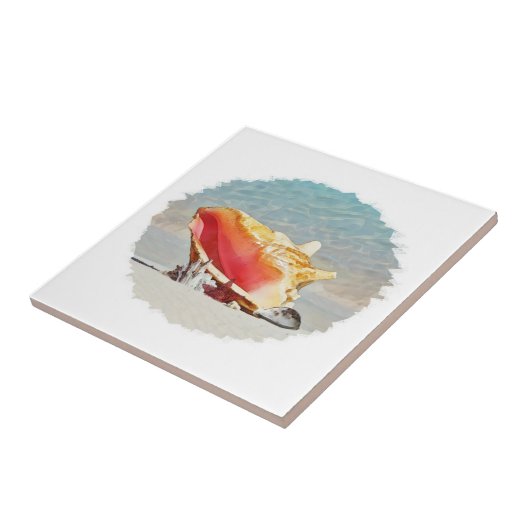 Conch am Strand Fliese (Seite)
