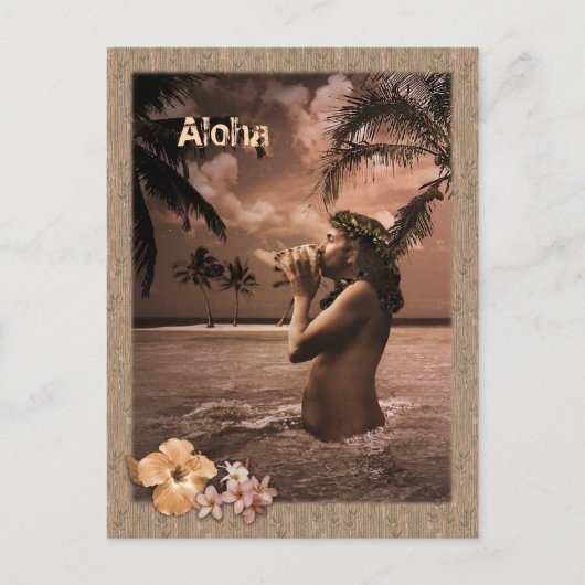 Conch Blows Postkarte (Vorderseite)