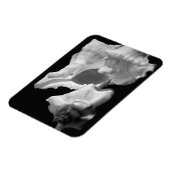 Conch in Black & White Vinyl Magnet (Linke Seite)