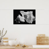 Conch in Schwarz-Weiß-Poster Poster (Küche)