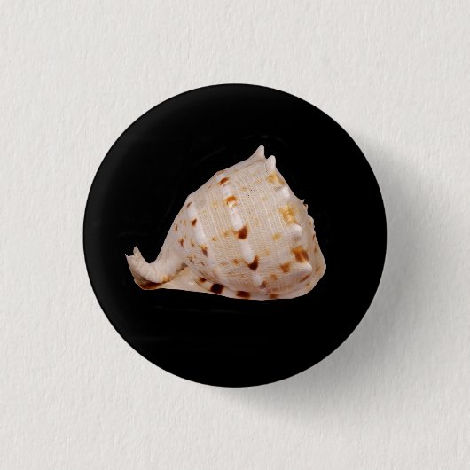 Conch Muschel Abzeichen Button (Vorderseite)