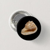 Conch Muschel Abzeichen Button (Vorne & Hinten)