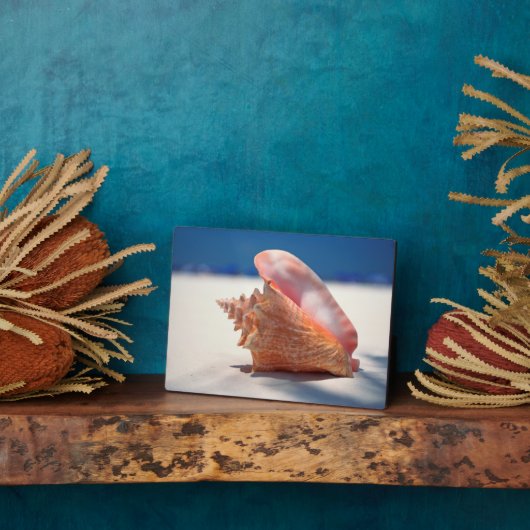 Conch Muschel am Strand 2 Fotoplatte (Seite)