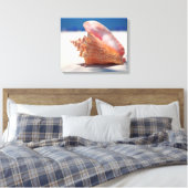 Conch Muschel am Strand 2 Leinwanddruck (Insitu (Schlafzimmer))