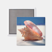 Conch Muschel am Strand 2 Magnet (Vorderseite/Rückseite)