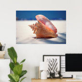 Conch Muschel am Strand 2 Poster (Heimbüro)