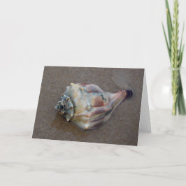 Conch-Muschel am Strand Dankeskarte