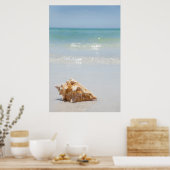 Conch Muschel am Strand | Florida, St. Petersburg Poster (Küche)