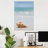 Conch Muschel am Strand | Florida, St. Petersburg Poster (Heimbüro)