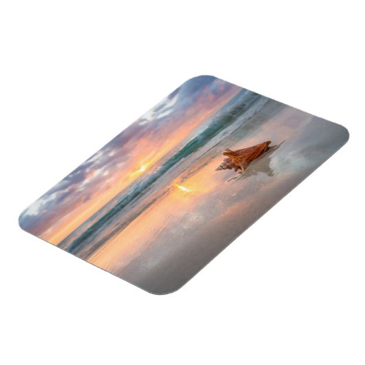 Conch-Muschel am Strand | Jamaika Magnet (Linke Seite)