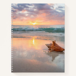 Conch Muschel am Strand   Jamaika Notizblock