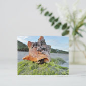 Conch-Muschel am Strand Postkarte (Stehend Vorderseite)