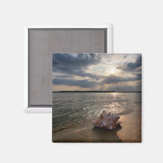 Conch-Muschel am Strand | St. Augustine, Fl Magnet (Vorderseite/Rückseite)