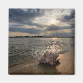 Conch-Muschel am Strand | St. Augustine, Fl Magnet (Vorne)