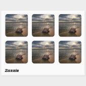 Conch-Muschel am Strand | St. Augustine, Fl Quadratischer Aufkleber (Blatt)