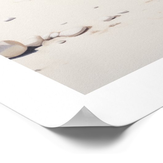 Conch Muschel am Strandplakat Poster (Ecke)