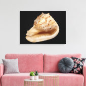 Conch Muschel Canvas Print Leinwanddruck (Insitu (Wohnzimmer))