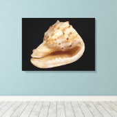 Conch Muschel Canvas Print Leinwanddruck (Insitu (Holzboden))