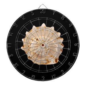 Conch Muschel Dart Board Dartscheibe