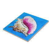 Conch Muschel Decorative Tile Fliese (Seite)