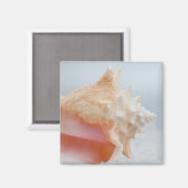 Conch-Muschel | Florida Magnet (Vorderseite/Rückseite)