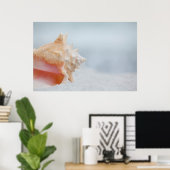 Conch-Muschel | Florida Poster (Heimbüro)
