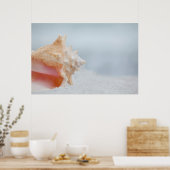 Conch-Muschel | Florida Poster (Küche)