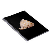 Conch Muschel Foto Notebook Notizblock (Rechte Seite)