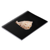 Conch Muschel Foto Notebook Notizblock (Linke Seite)