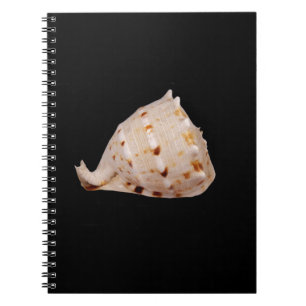 Conch Muschel Foto Notebook Notizblock