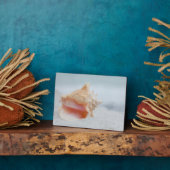 Conch-Muschel Fotoplatte (Seite)