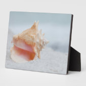 Conch-Muschel Fotoplatte (Seite)