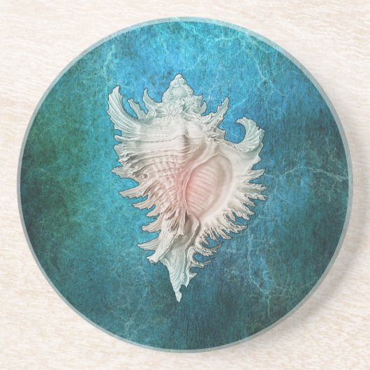 Conch-Muschel Getränkeuntersetzer (Vorne)